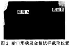 圖2 斷口形貌及金相試樣截取位置